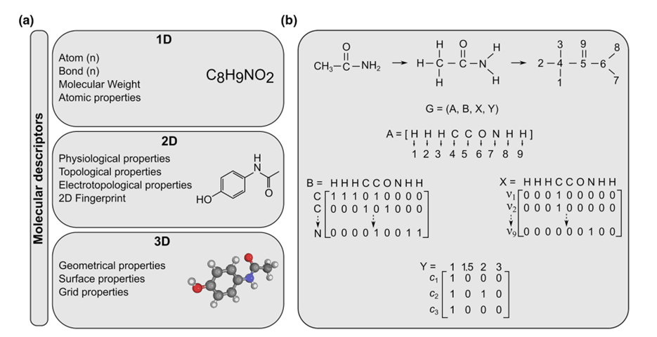 Рис. 2. Варианты представления химических структур на языке математики. a) Примеры дескрипторов, b) Использование 3D дескрипторов в графовых нейросетях. Источник [Gaurav et al., Microbiology 2023;169:001333]   